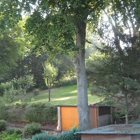 Ferienwohnung Sauerland Panorama 科尔巴赫 外观 照片