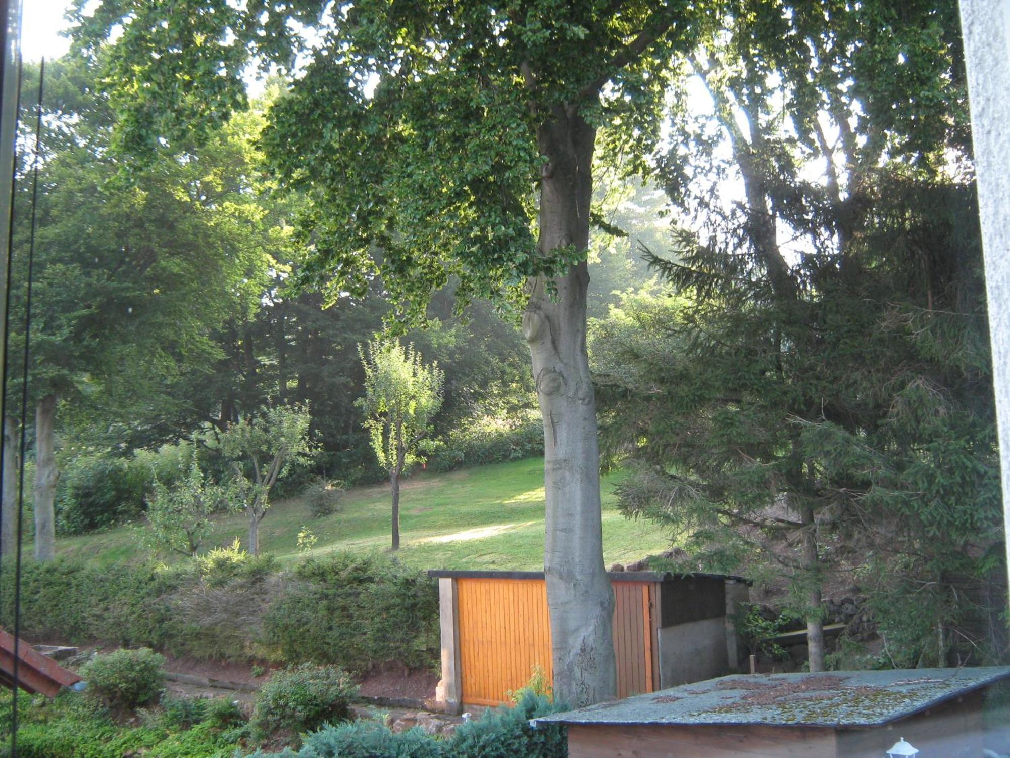 Ferienwohnung Sauerland Panorama 科尔巴赫 外观 照片